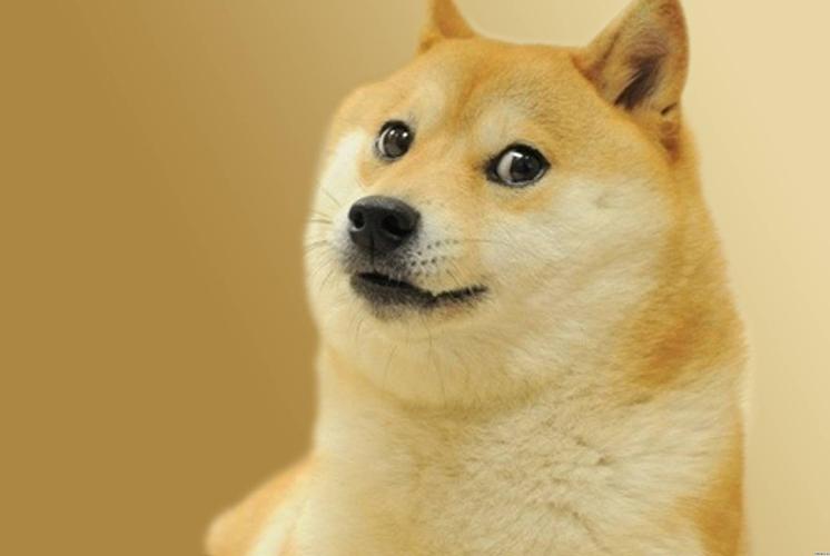 doge表情包小图