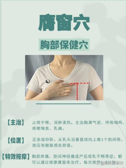胸下面三角区中间叫什么位置