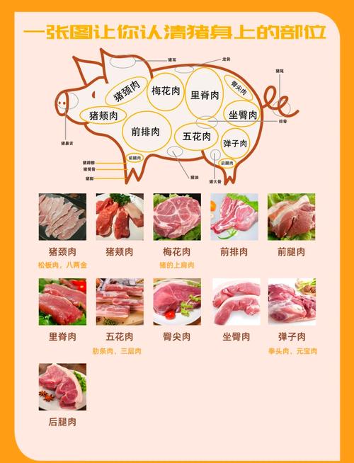 怎么买到好的猪肉