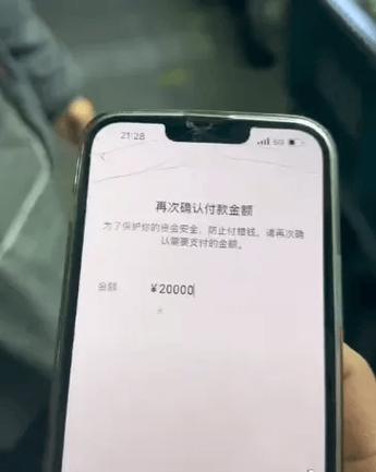 手机显示转账成功,但钱没到账
