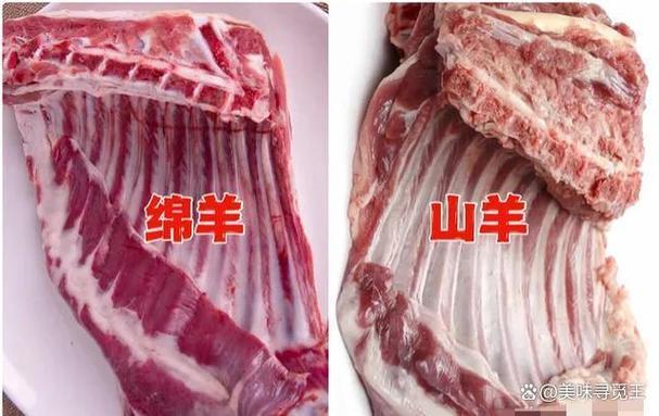 绵羊肉好吃还是山羊肉好吃