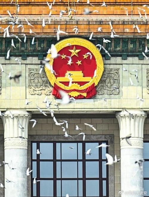 国徽在哪些地方可以看见