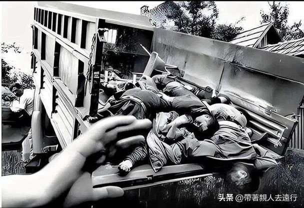 播放实况照片