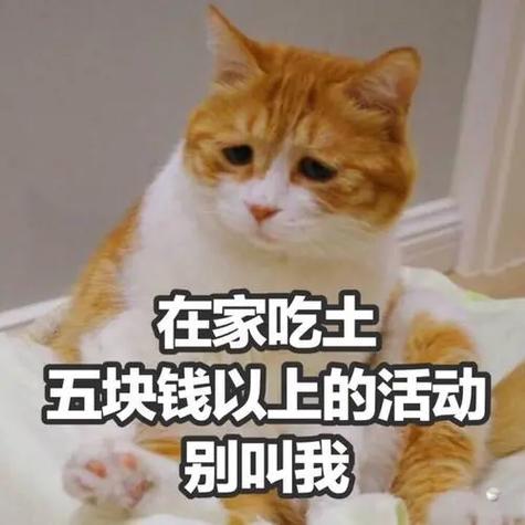 我只有一块钱表情包
