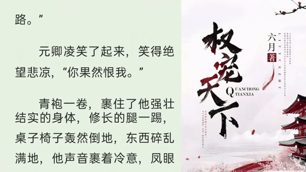 六月元卿凌 权宠天下