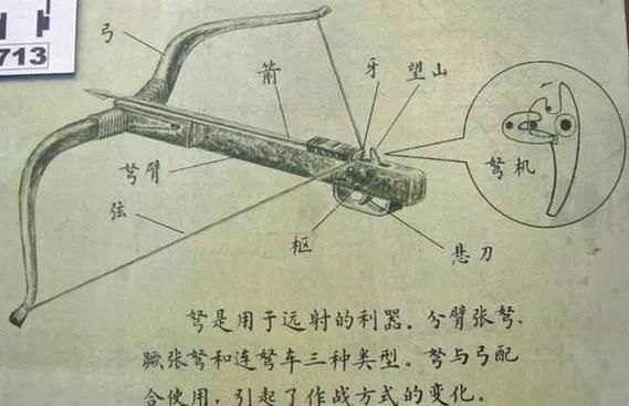 弩的正确使用方法 弩的正确使用方法
