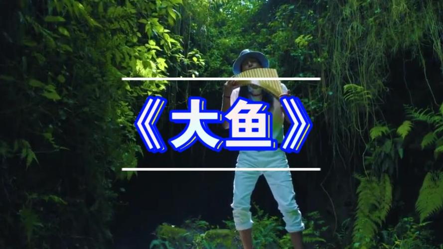 大鱼mv在哪里可以免费观看截图3