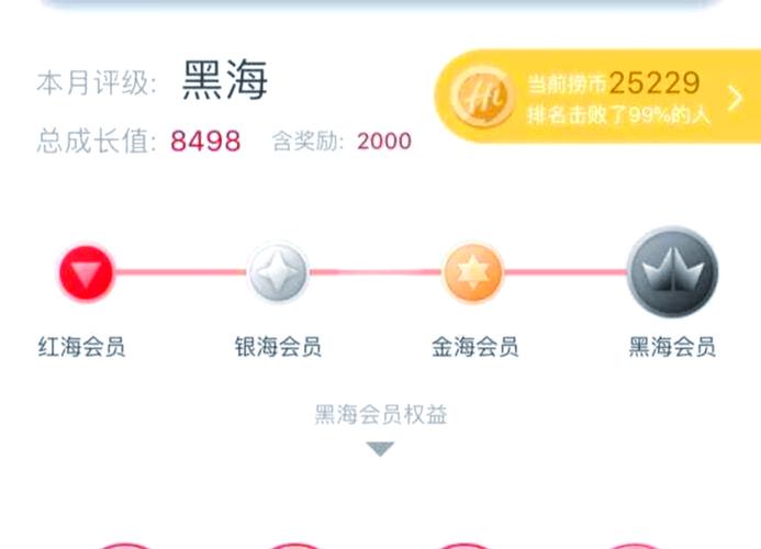 booking会员级别划分图表