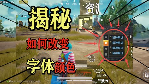 和平精英聊天字体颜色