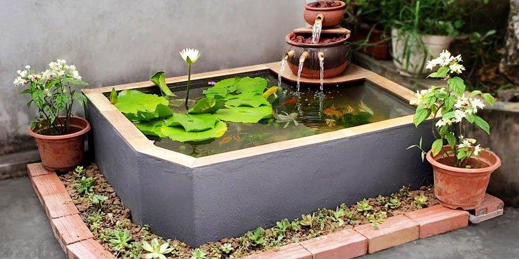 自建小型鱼池 自建小型鱼池