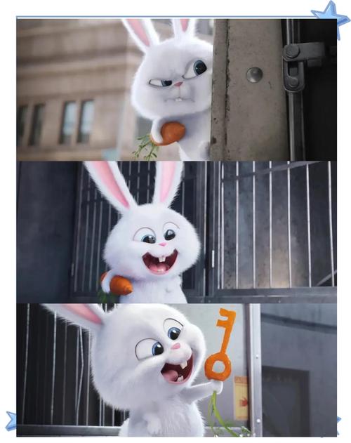 关于兔子的动画片大全