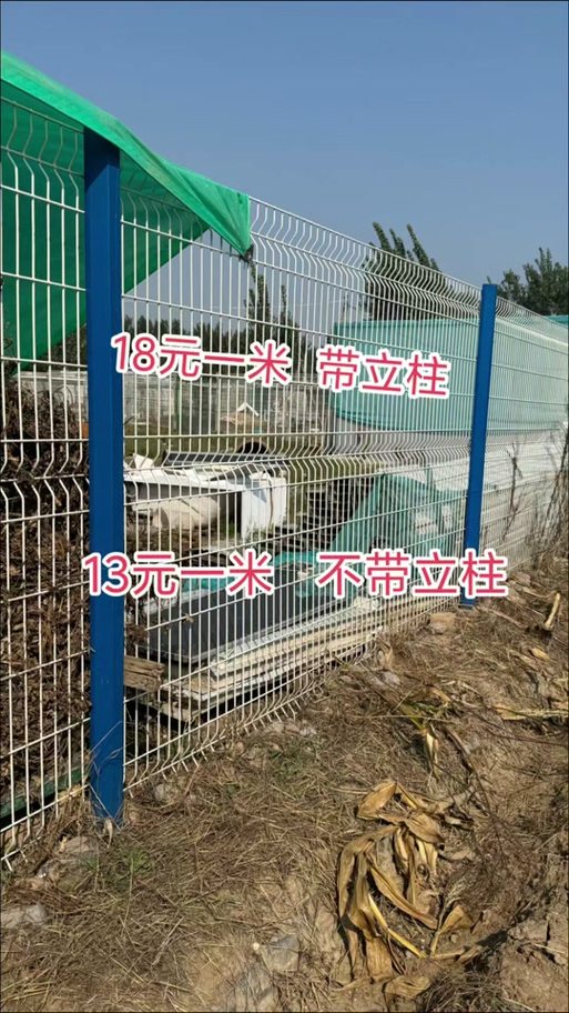 养鸡网围栏厂家批发100米
