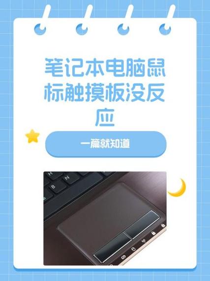 鼠标突然没反应