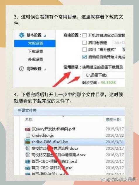 手机迅雷下载视频在哪个文件