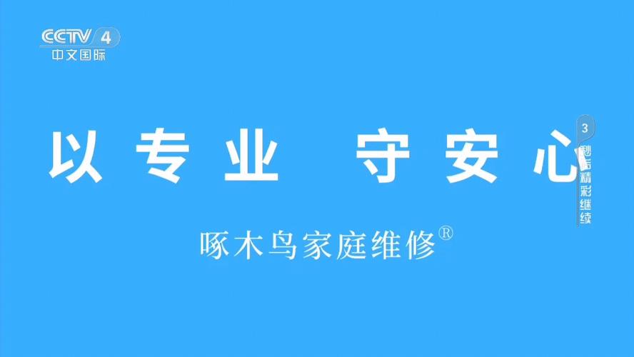 啄木鸟家庭维修平台官网