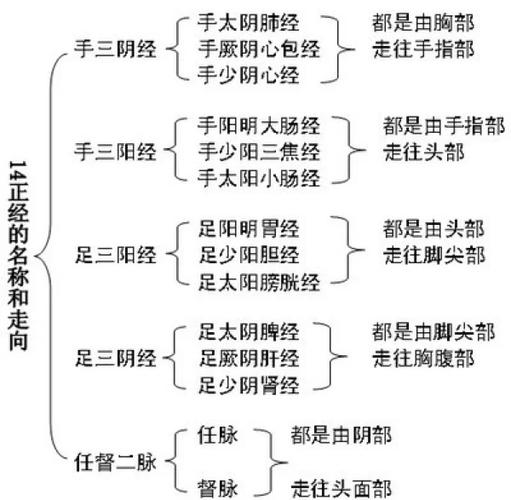 十二经络歌诀顺口溜截图3