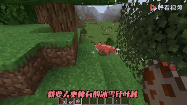 我的世界怎样让狐狸繁殖