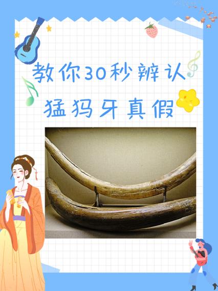 猛犸象牙真假鉴别