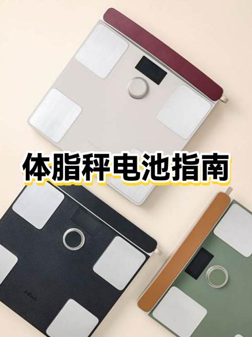 体脂秤换电池后没反应