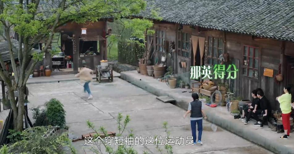 向往的生活之桃源系统
