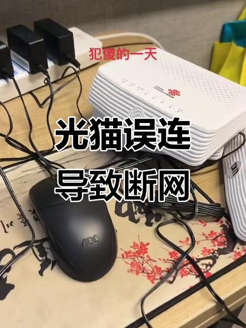 重置了光猫之后不能上网