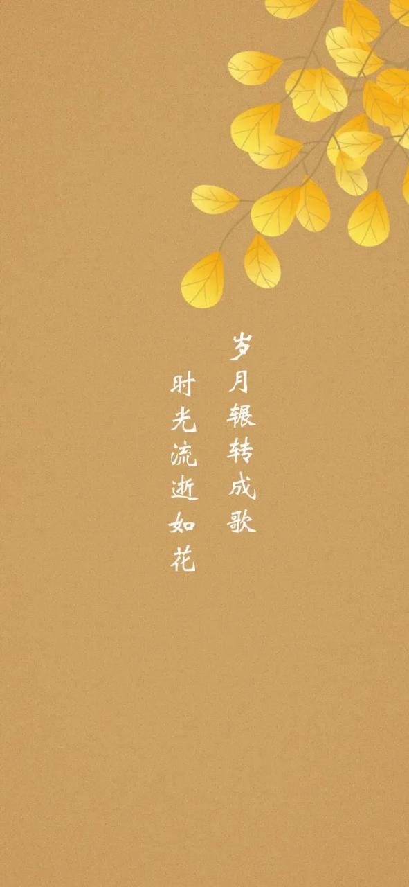 岁月流逝的精辟句子