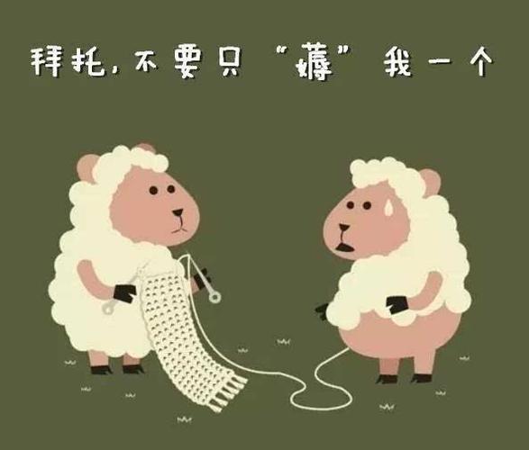 可着一只羊薅羊毛