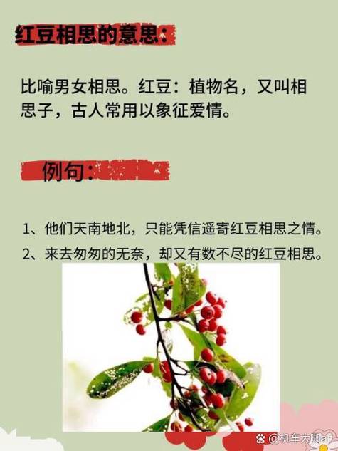 红豆相思的意思 红豆相思的意思