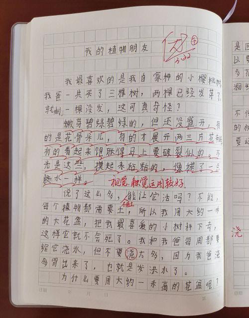 控制时间的超能力作文