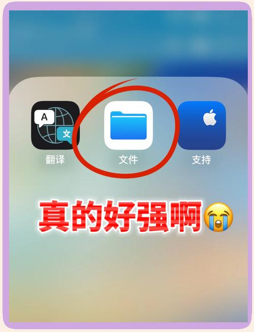 怎么查看苹果手机里的文件