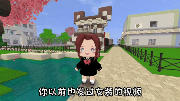 迷你世界解说