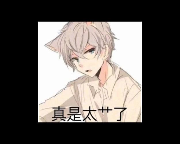猫和老鼠磊哥的头像