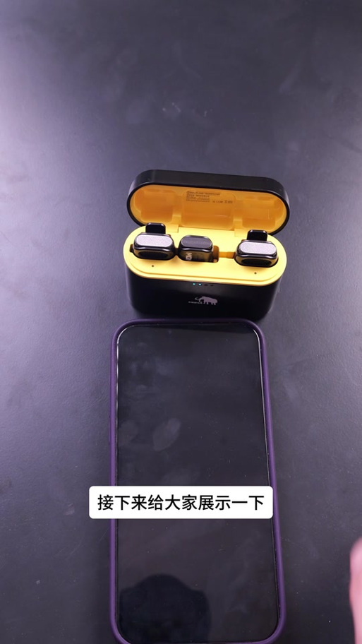 Moma无线麦克风配对教程
