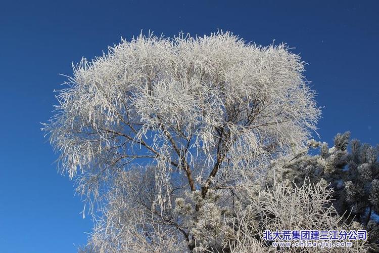 清极不知寒小说免费阅读