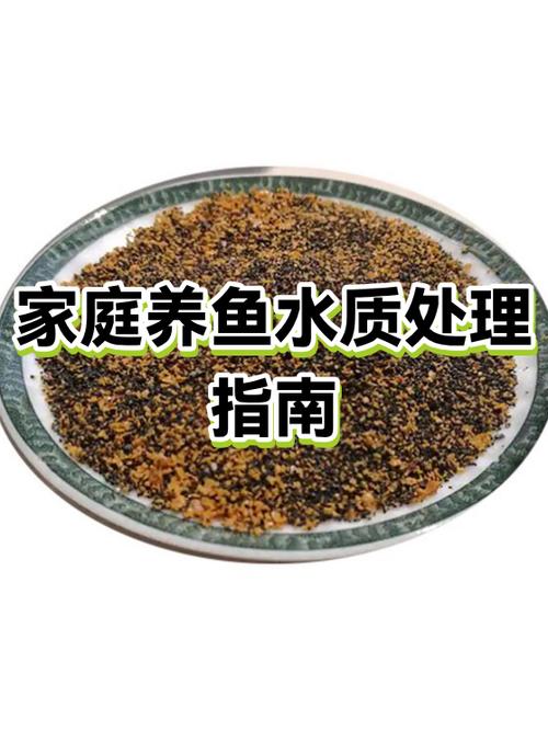 养鱼换水可以用自来水吗