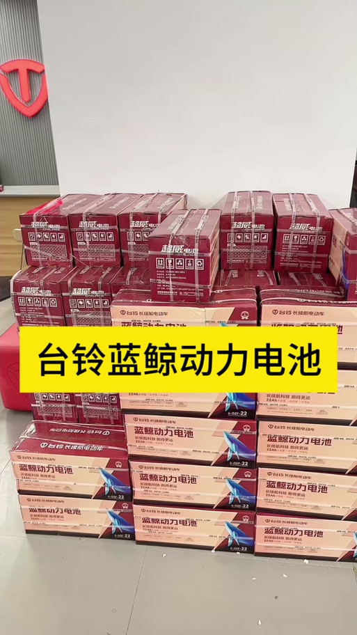 台铃电池有几个