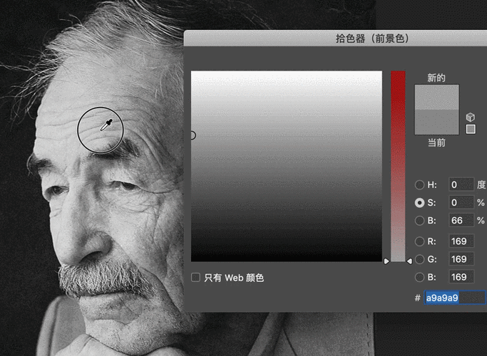 黑白2和黑白2哪个好截图3