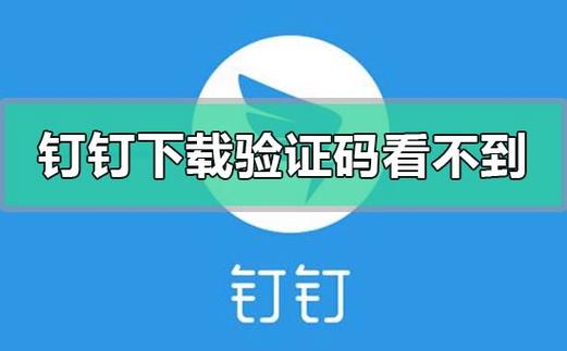 钉钉刷不出来验证码