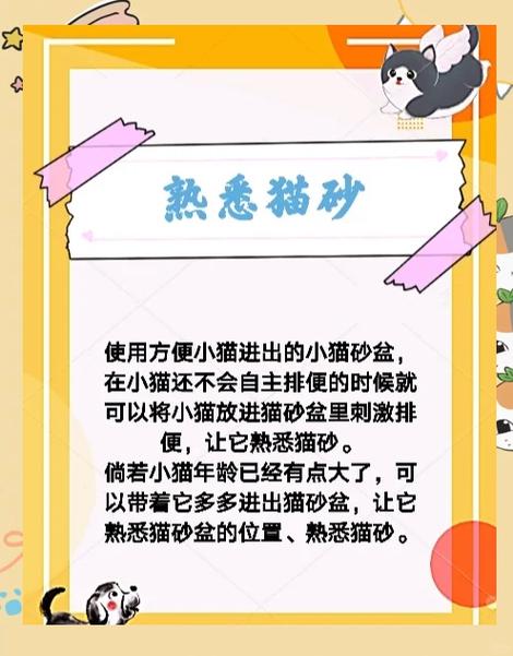 猫咪不会用猫砂盆怎么办