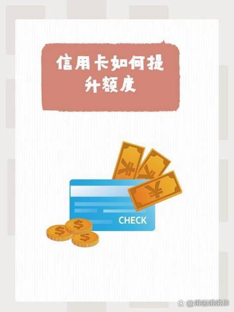 信用购额度怎么提升