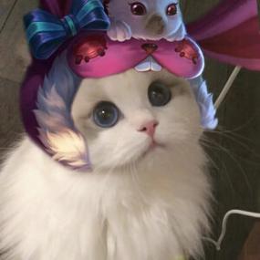 王者荣耀的可爱的猫头像截图2