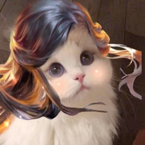 王者荣耀的可爱的猫头像截图3