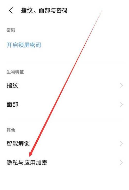 vivo手机怎么解开隐私密码