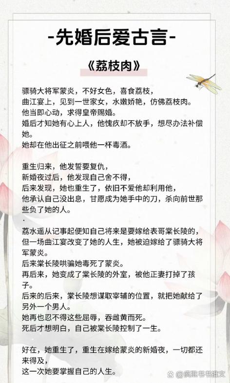 荔枝小说TXT