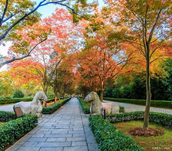 江苏南京旅游必去十大景点推荐