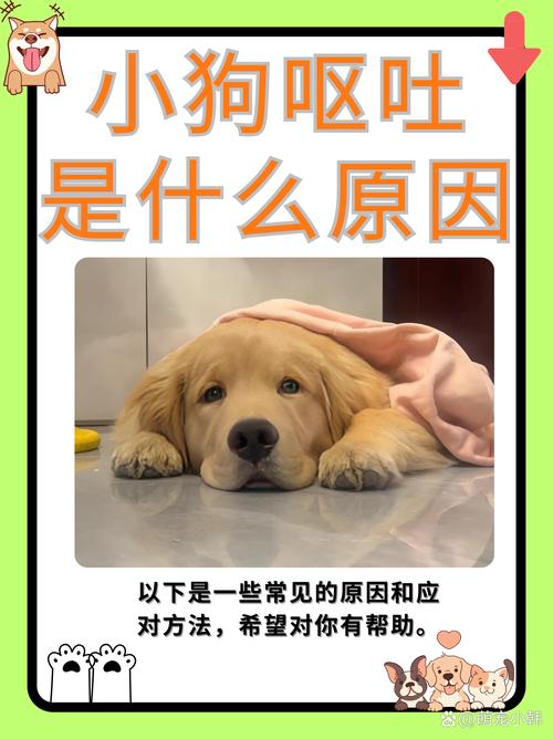 狗狗总是卡卡的干呕
