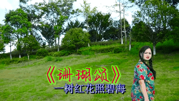 珊瑚颂动态简谱伴奏