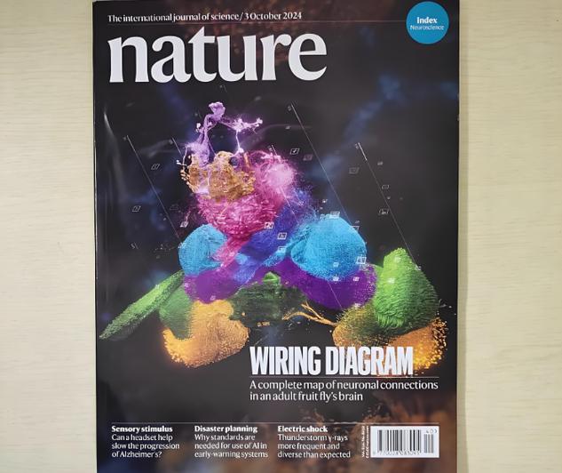 natural杂志