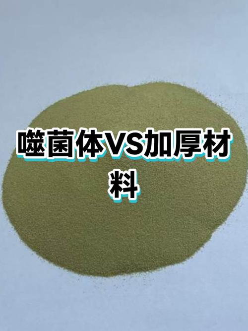 噬菌体对人体有害吗截图3