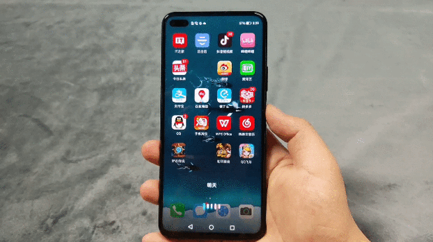 v30pro荣耀